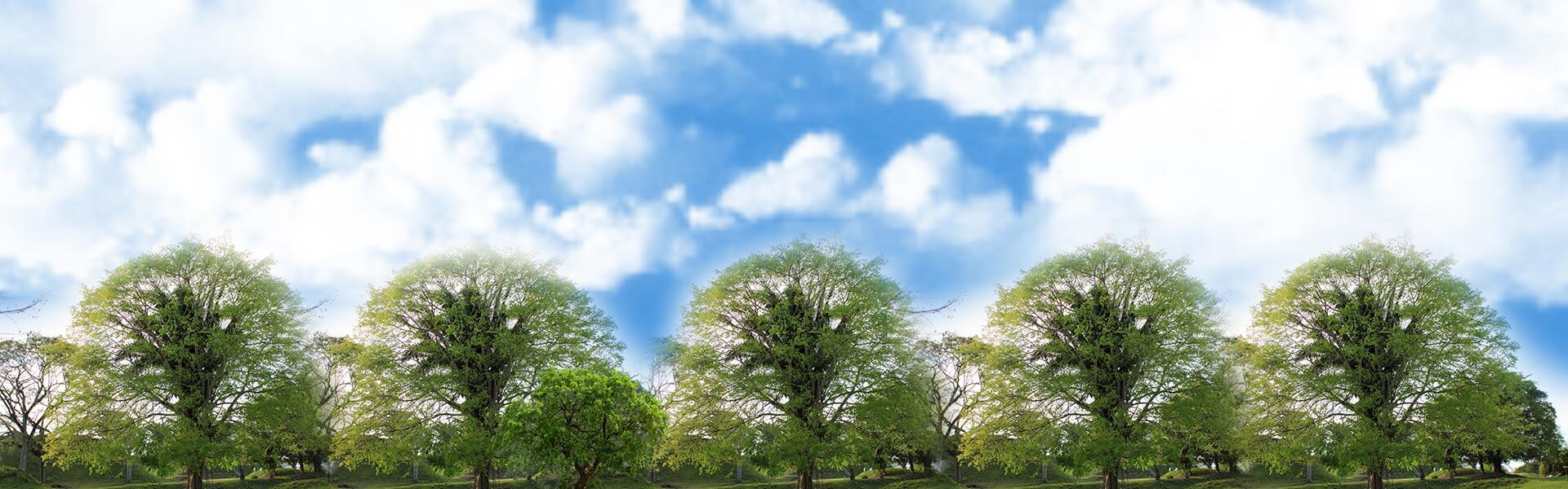slider_banner_zemin